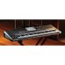 Korg Pa900 61-Key Professional Arranger