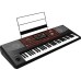 Korg Pa700 ORIENTAL 61-Key Professional Arranger with Touchscreen and Speakers