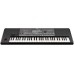 Korg PA600 61-Key Professional Arranger with Color Touchview Display