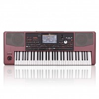 Korg Pa1000 Professional Arranger