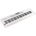 Roland GO:KEYS 5 61-Key Touch-Sensitive Portable Keyboard (White)